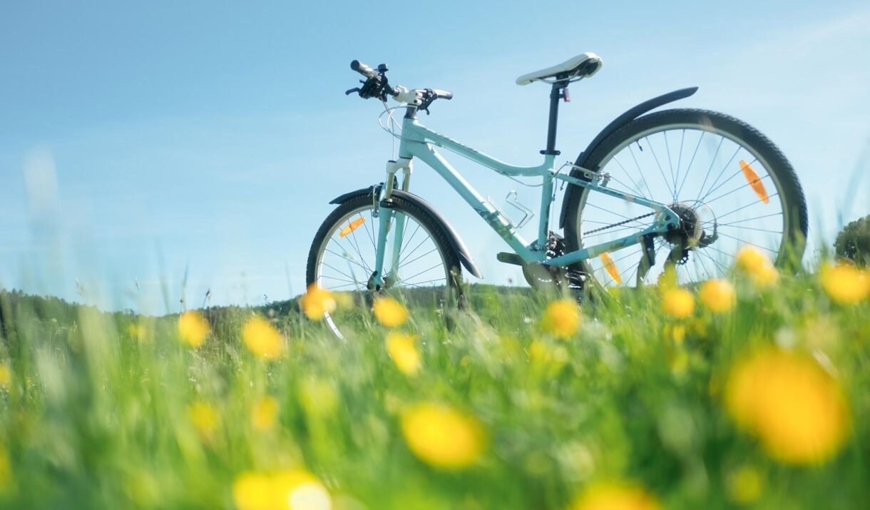 blue female bike pvgaegn
